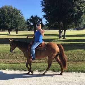 Meet your Posher, Lori